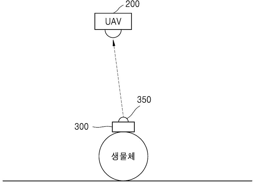 대표 도식